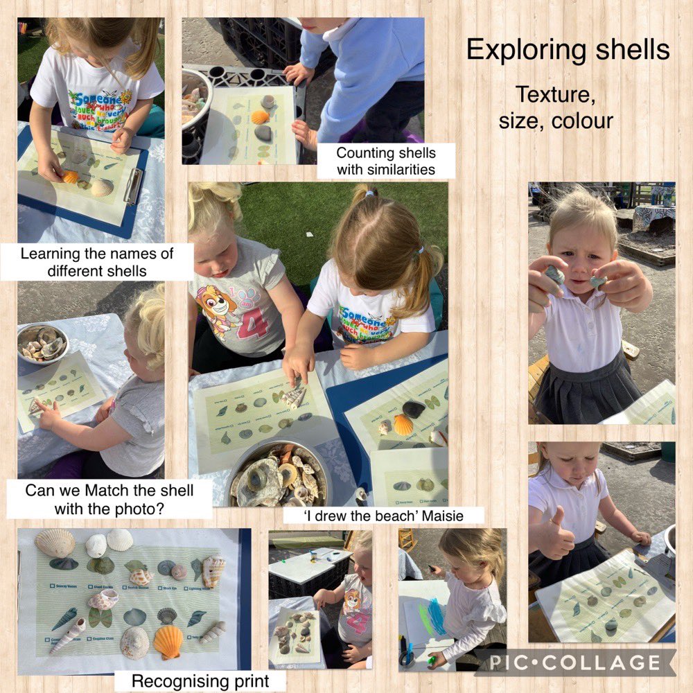 BowhouseBairns's tweet image. Natural numeracy experiences with #CountingCollections. Our wee people lead an interest of ‘the beach’ from exploring our sandpit. We used this as a stimulus to introduce natural materials that promote a variety of numerical and mathematical concepts. #EarlyNumeracy #PlayPedagogy
