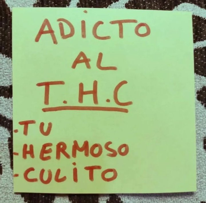 El Paragua Venenoso tweet media