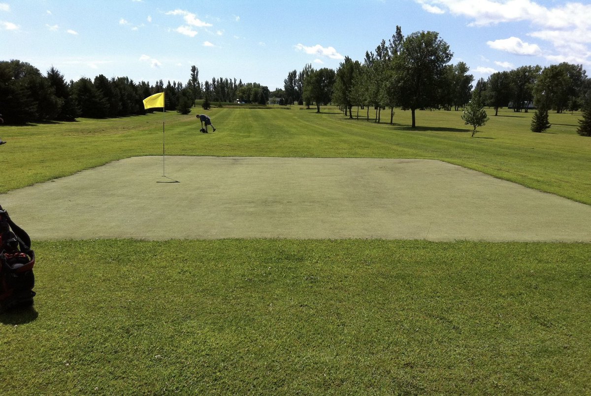 Caddie Network tweet media