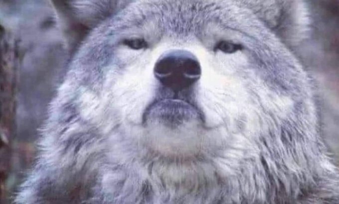 Укусить за бочок картинки