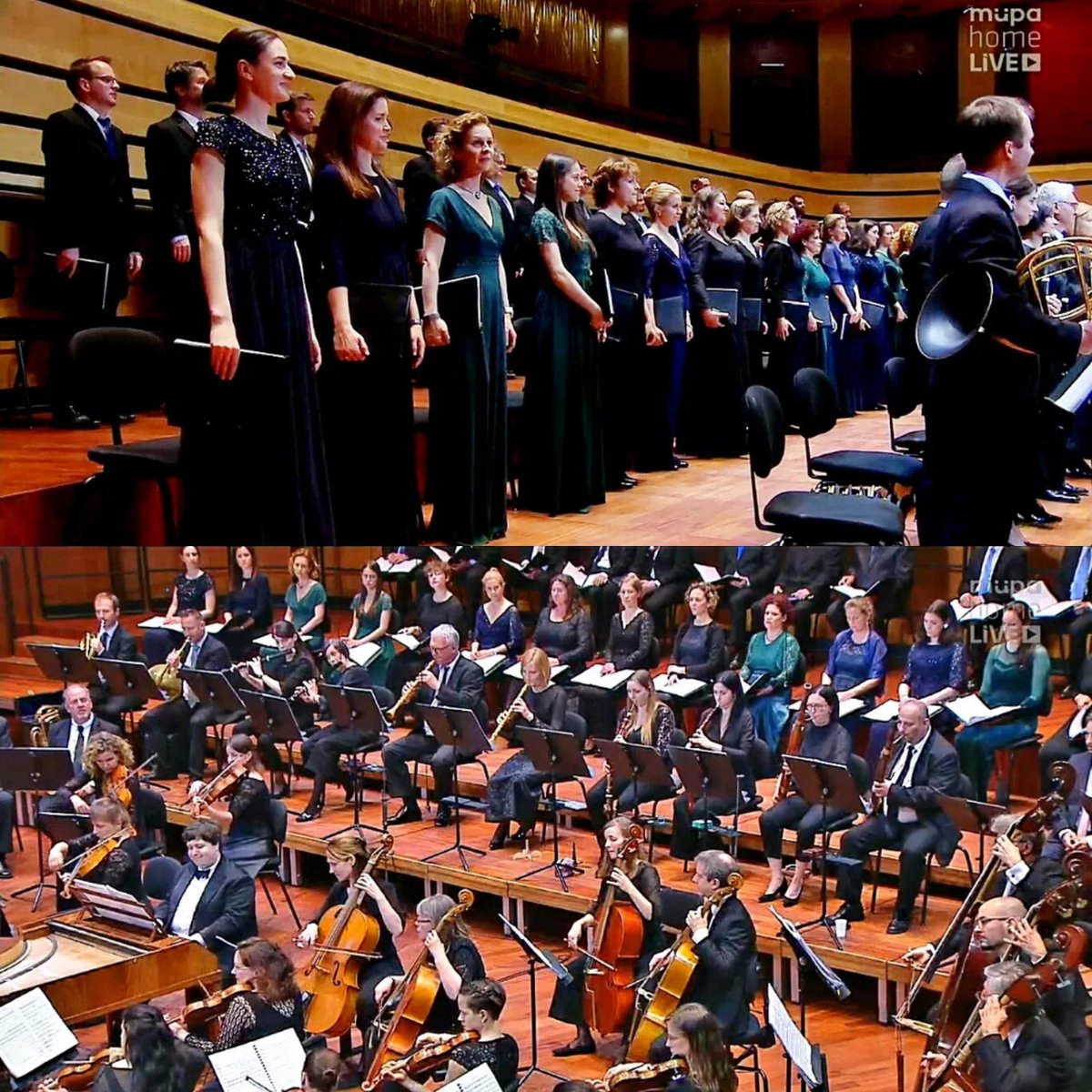 jekltwin's tweet photo. #Haydn's 'Il ritorno di Tobia' by #GyörgyiVashegyi's #OrfeoOrchestra &amp; #PurcellChoir + soloists #EszterBalogh, #NikolayBorchev, #AndersDahlin, #RekaKristof &amp; Roberta Invernizzi @MupaBudapest 🎶🎥💻 #oratorio #periodinstruments https://t.co/7D6MApatNP