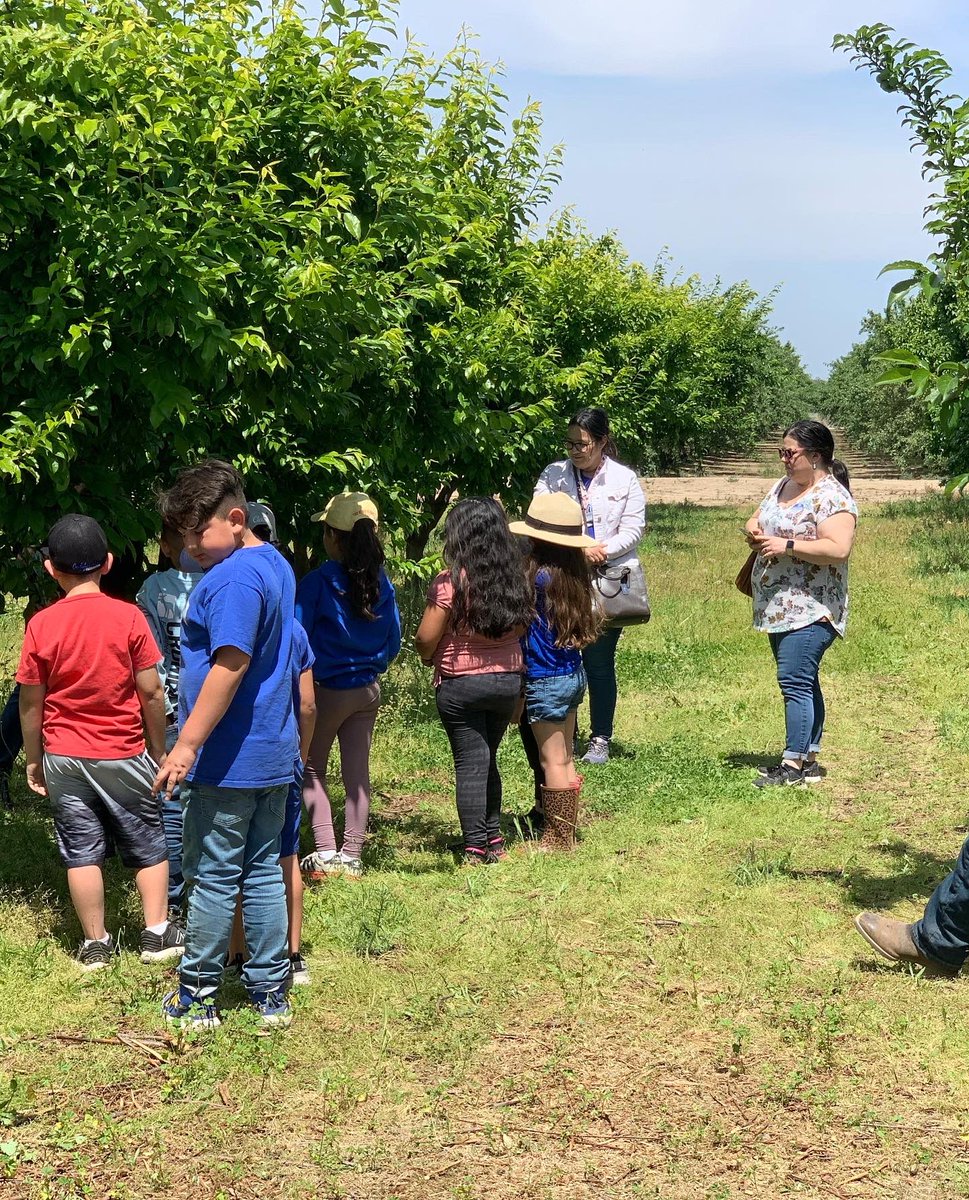 TUSDFarm's tweet photo. First grade study trips were such fun!  Thank you to @officialturlockffa and @pitmanffa02 students for coming to share your knowledge each day with the TUSD first graders…. You did an amazing job!  Even the kittens are tired from the week… https://t.co/GtPb1i0Aoz
