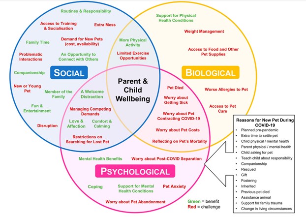 New Research: “Companionship and Worries in Uncertain Times: Australian Parents’ Experiences of Children and Pets During COVID-19”

<a href="/DrSKBennetts/">Dr Shannon Bennetts</a> <a href="/SharinneC/">Sharinne Crawford</a> @dogsbrain <a href="/gilesywagon/">Dr Fiona Giles (Burgemeister)</a> #Pets #Covid19 #Anthrozoology

doi.org/10.1080/089279…