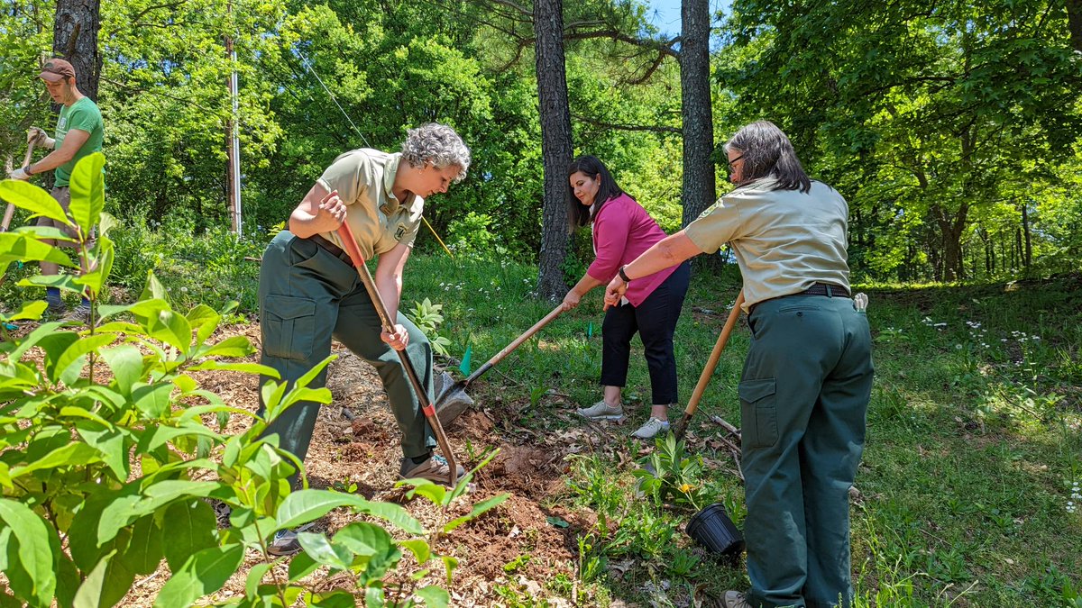 ISArboriculture's tweet photo. The #ArborDay celebration continues as Caitlyn Pollihan and Dan Lamb join representatives from the State Forestry Commission, the United States Department of Agriculture, @TreesAtlanta, ISA, @arborday and community volunteers at a tree planting event. https://t.co/YxMdS7wh0M