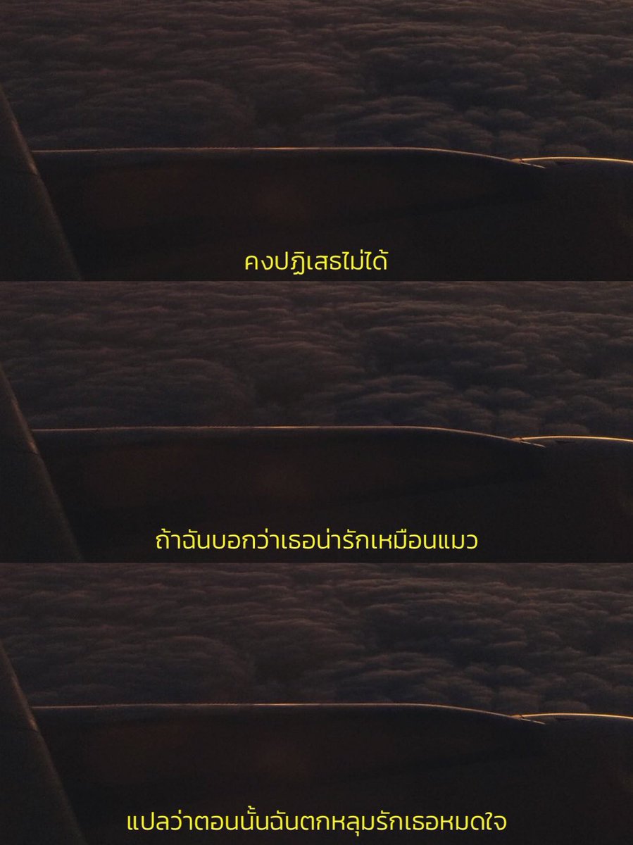 🩵🧈🐘แสนคุง พ่อจ๋าของน้องเนย🧈🐘🩵 tweet media