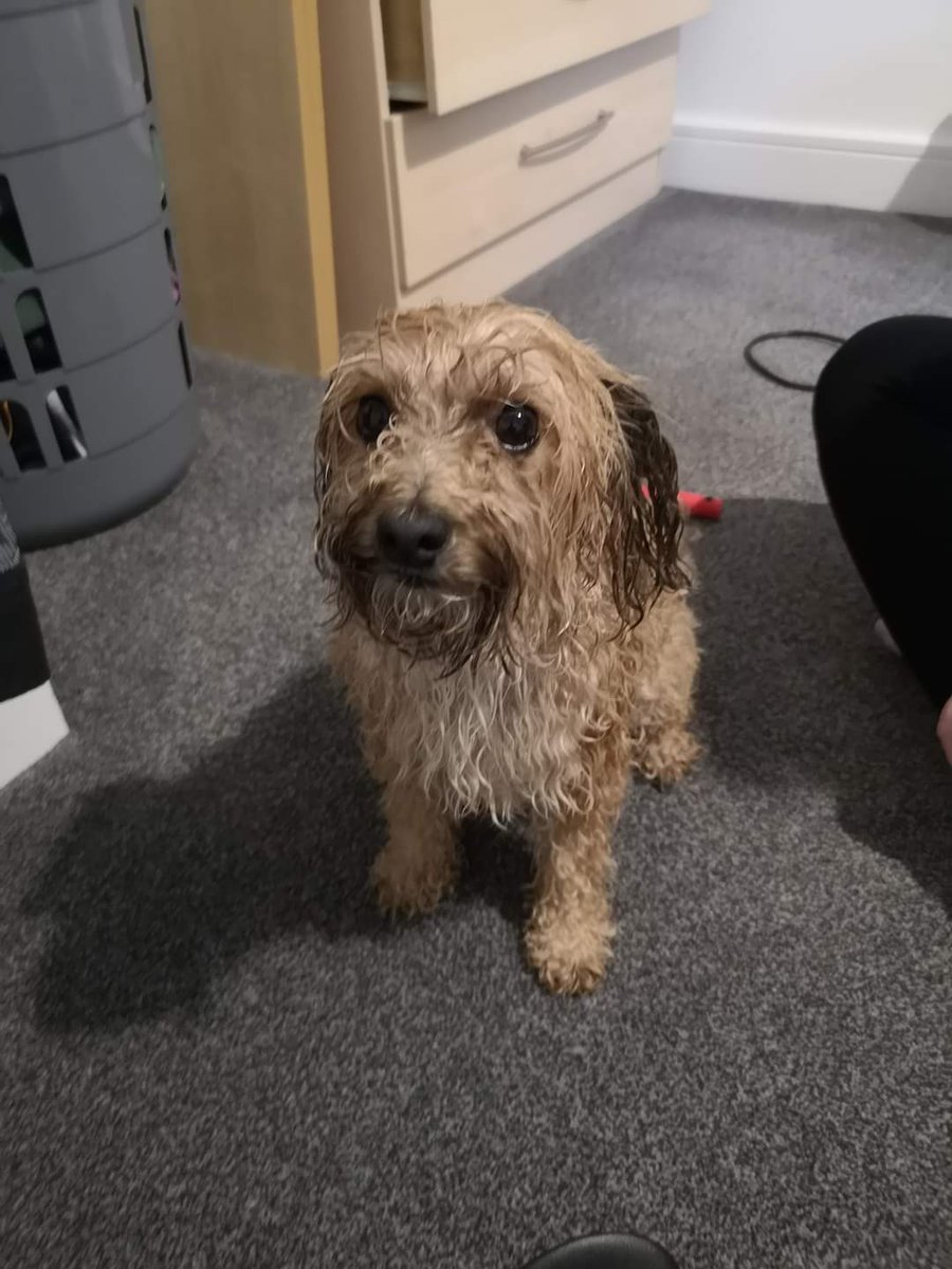 2 years on and she still hates bath time