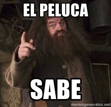 ImLufer's tweet photo. @IbaiLlanos https://t.co/lLBEgPF3xF