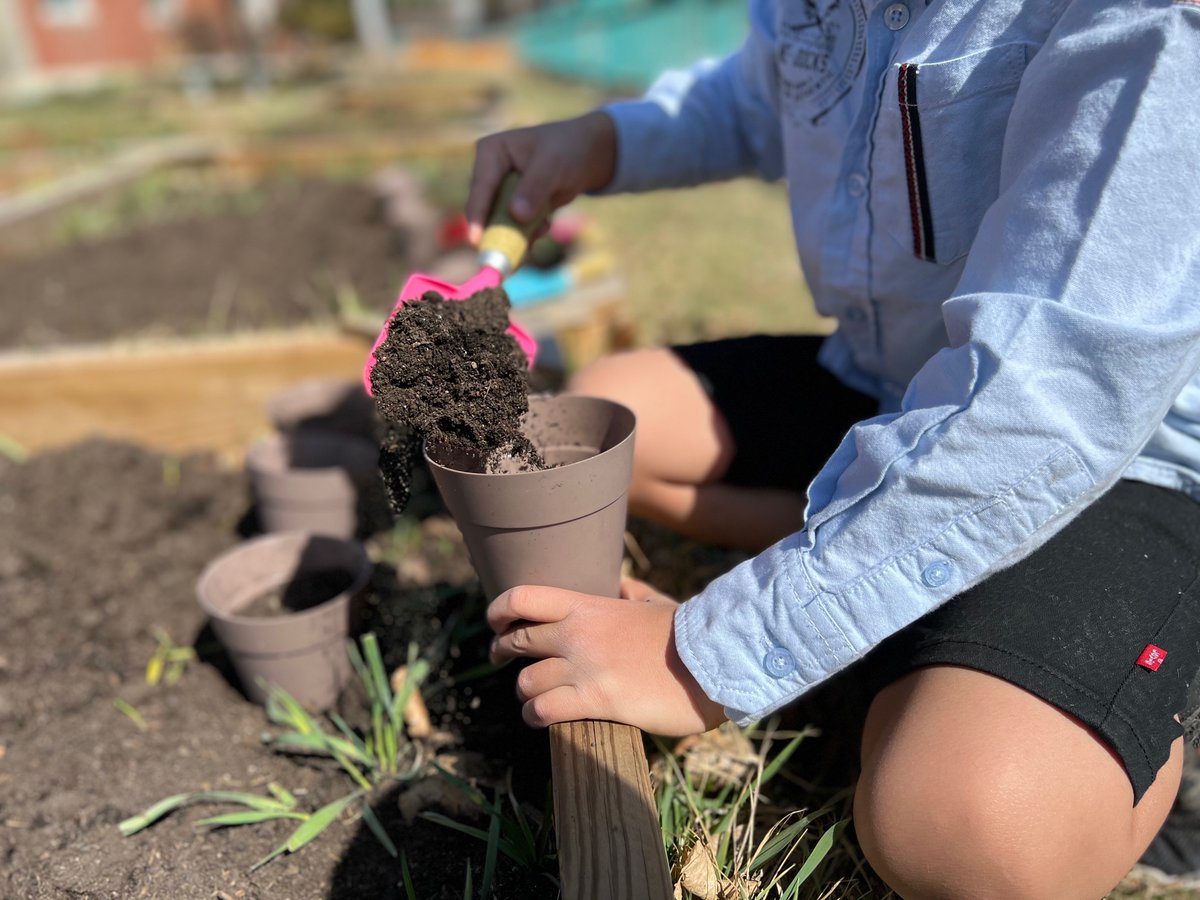 Today in Kindergarten we talked about how to care for flowers so that they can thrive + grow. We then went to our garden and planted our own🌻 seeds. 

<a href="/MissShoults/">Kelsey Shoults</a>