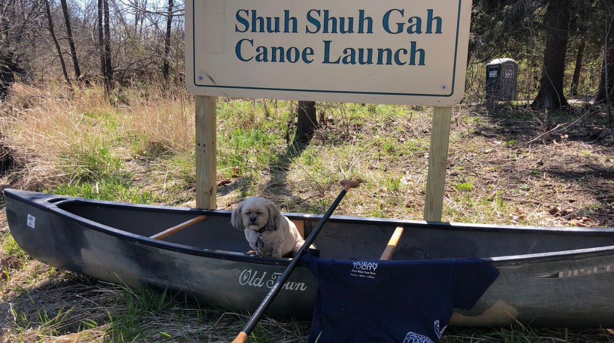 5MFHC's tweet image. The Soft Paws Award goes to our fave pup! The winner has to be Captain Bently. Rowing in a Canadian Canoe, partner Gary from the USA was guided by our soft paw recipient Bently on their paddle. Bently, you left paw prints on all our hearts❤️ Thanks for joining #5milesfromhome 🏆