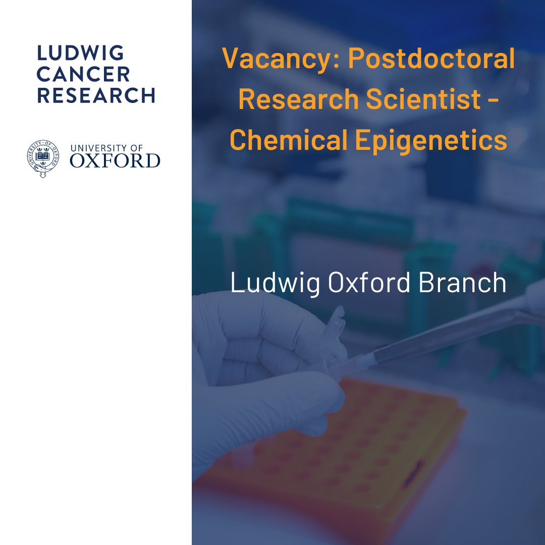 Ludwig_Cancer's tweet photo. Apply now to join Chunxiao Song’s group at Ludwig @UniofOxford as a post-doc researcher in chemical epigenetics. Deadline May 19. https://t.co/oiDVqfRH2d https://t.co/mHFHGC3cw1