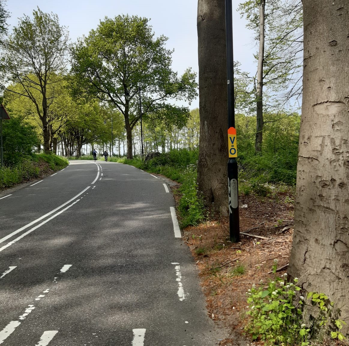 Morgen Bergtoer!

De bordjes hangen &amp; de route is uitgepijld. 
Het belooft een mooie droge dag te worden met een uitdagende route. 

Wij hebben er zin in!

#fietssport #klimmersbrevet #mijntoertocht