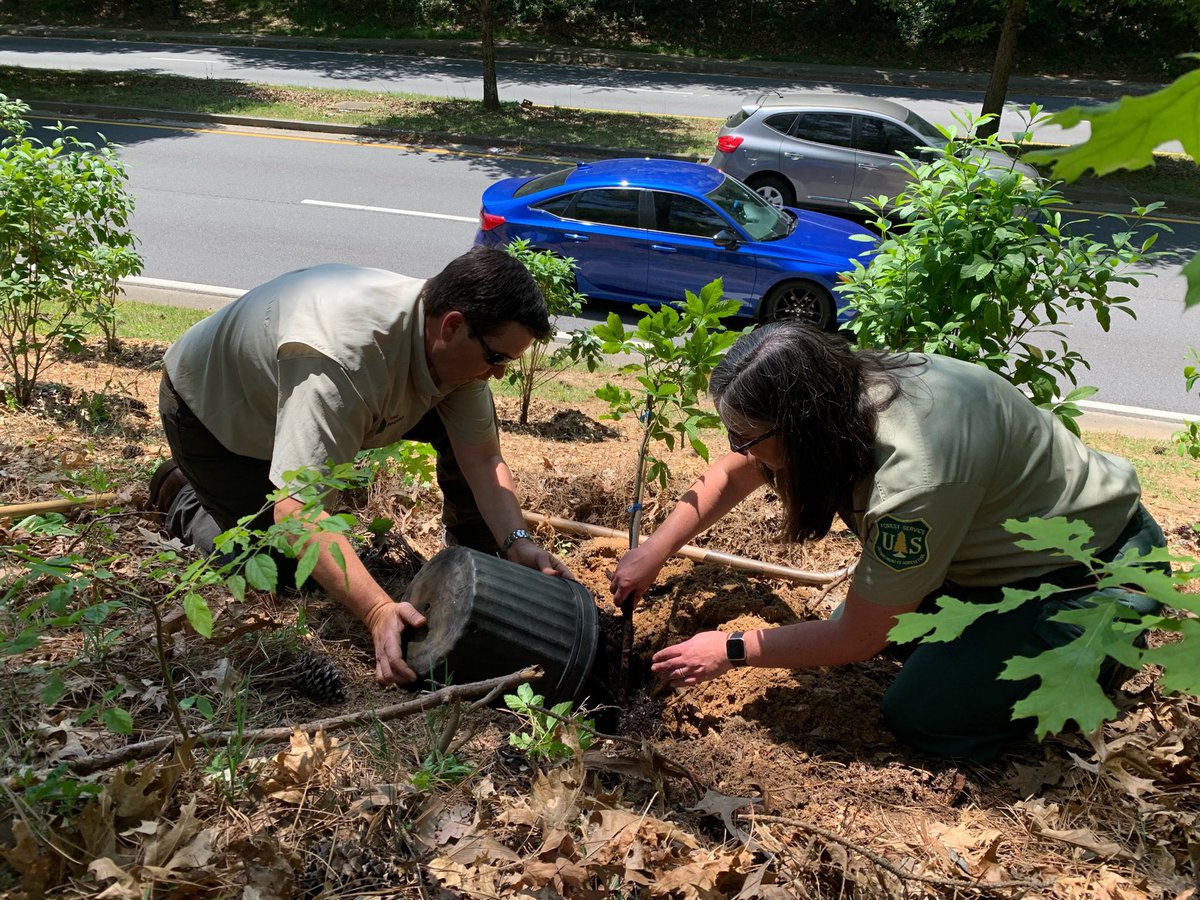What a privilege to spend the 150th #ArborDay planting trees at the John Lewis Flowering Forest with our incredible partners! We were thrilled to have our friends from <a href="/ISArboriculture/">ISA Arboriculture</a>, Meryl Harrell from the <a href="/USDA/">Dept. of Agriculture</a> and <a href="/TreesAtlanta/">Trees Atlanta</a> help us celebrate today by planting trees.