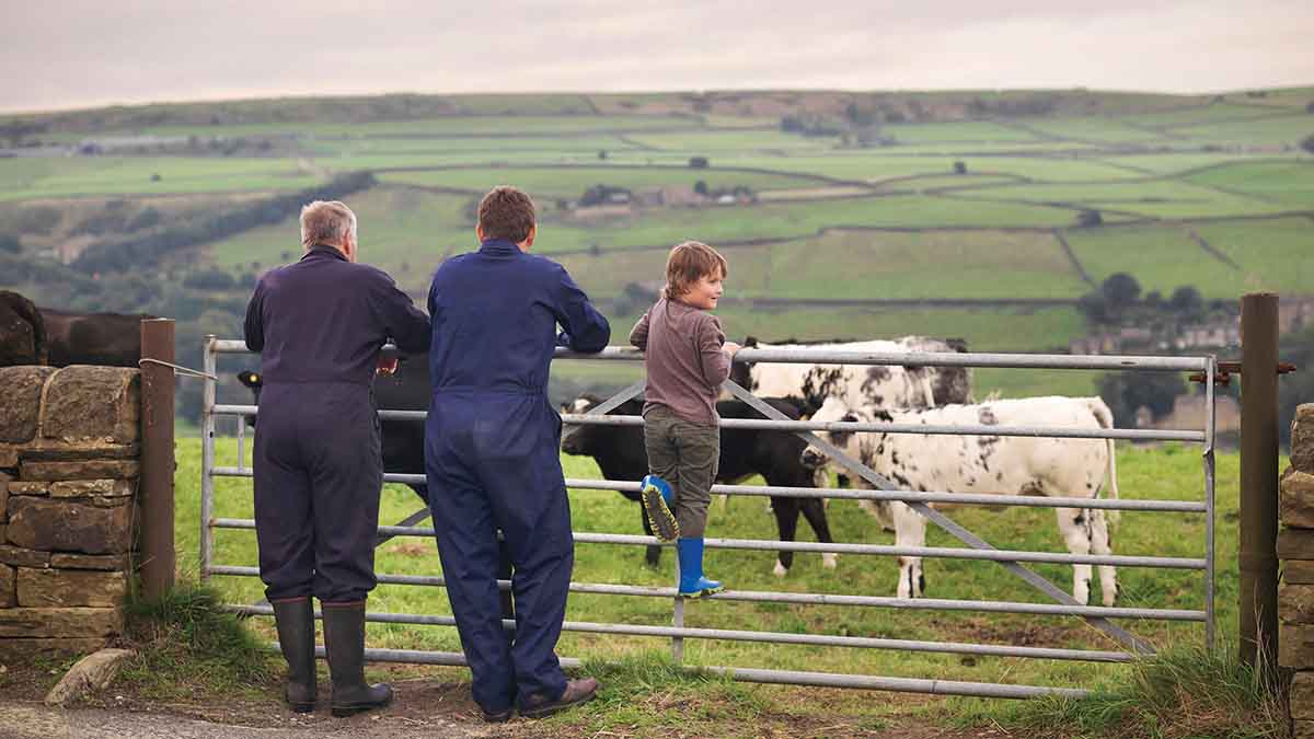 SURE-Farm tweet media