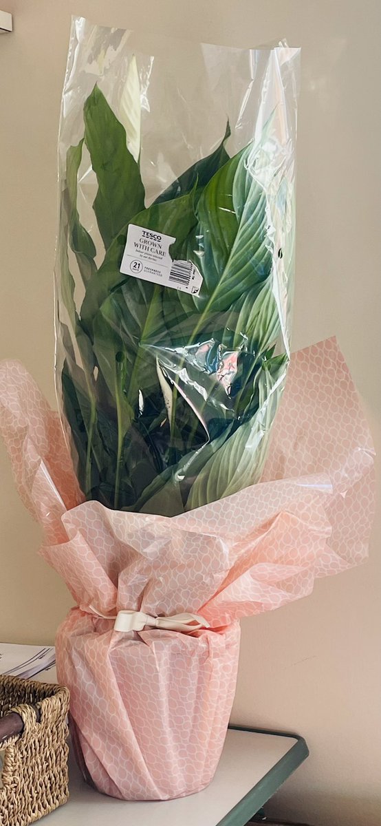 Today we had to say goodbye to our beautiful Lizzie! <a href="/Elizabe74237670/">#HelloMyNameIs Lizzie Brighouse</a> she will be missed so much but has got such a huge opportunity that she just simply couldn’t turn down! Was an absolute pleasure working alongside you and good luck in your new role ❤️❤️