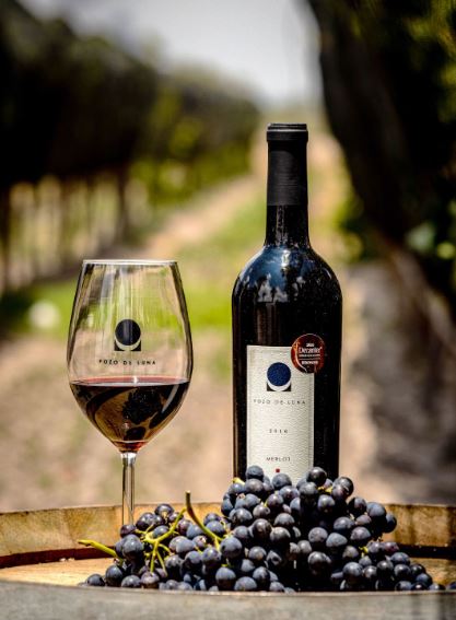 Es tiempo de hacer una pausa, reflexionar todo lo que ha sucedido esta semana, tomar una copa de vino y que éste seduzca nuestro paladar.