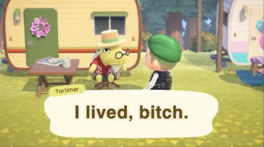 hexviews's tweet image. i miss lizzie i can’t believe i actually made her smile…