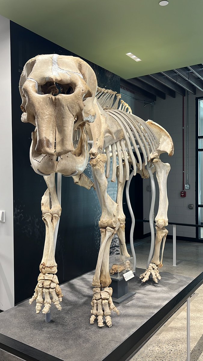 It’s not weird that I tell her hello every time I walk into the <a href="/waynestate/">Wayne State University</a> STEM  Innovation Learning Center, right? #WSUSTEM