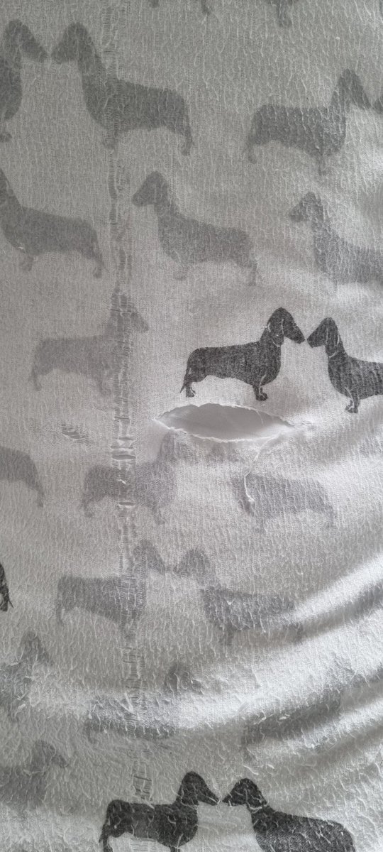 AmyRusso__'s tweet photo. Not really the quality I expect from @DunelmUK bedding after two and a half months! 🙄 @DunelmService #disappointed https://t.co/GNJQzZr0Ax