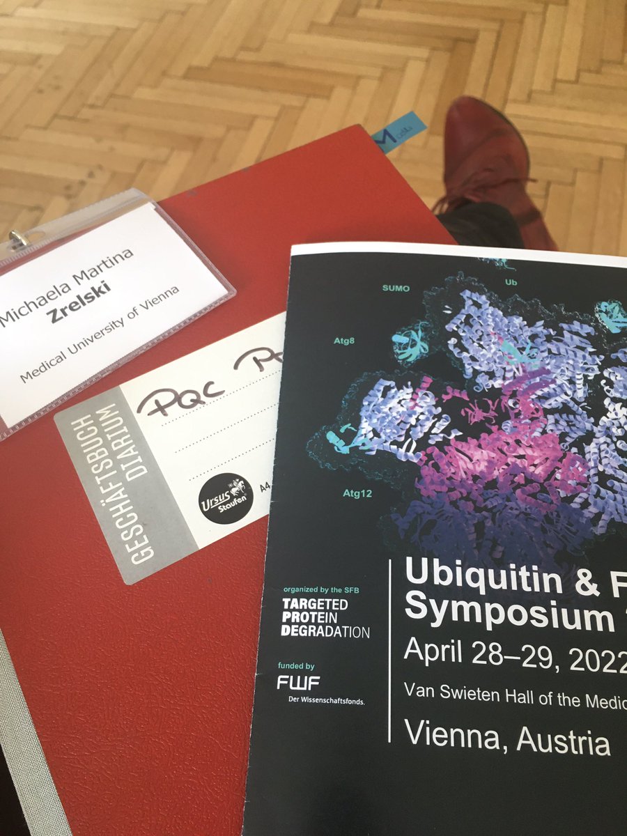 Mzrels's tweet photo. I had an amazing FIRST symposium even 🤩🥳 thanks to all the wonderful organizers 🙌🤞🏼#ubiquitinfriends2022 #plectin #WinterWonderlab #proteinaggregates 🥁 👩🏽🔬 https://t.co/RmykeNYWdH