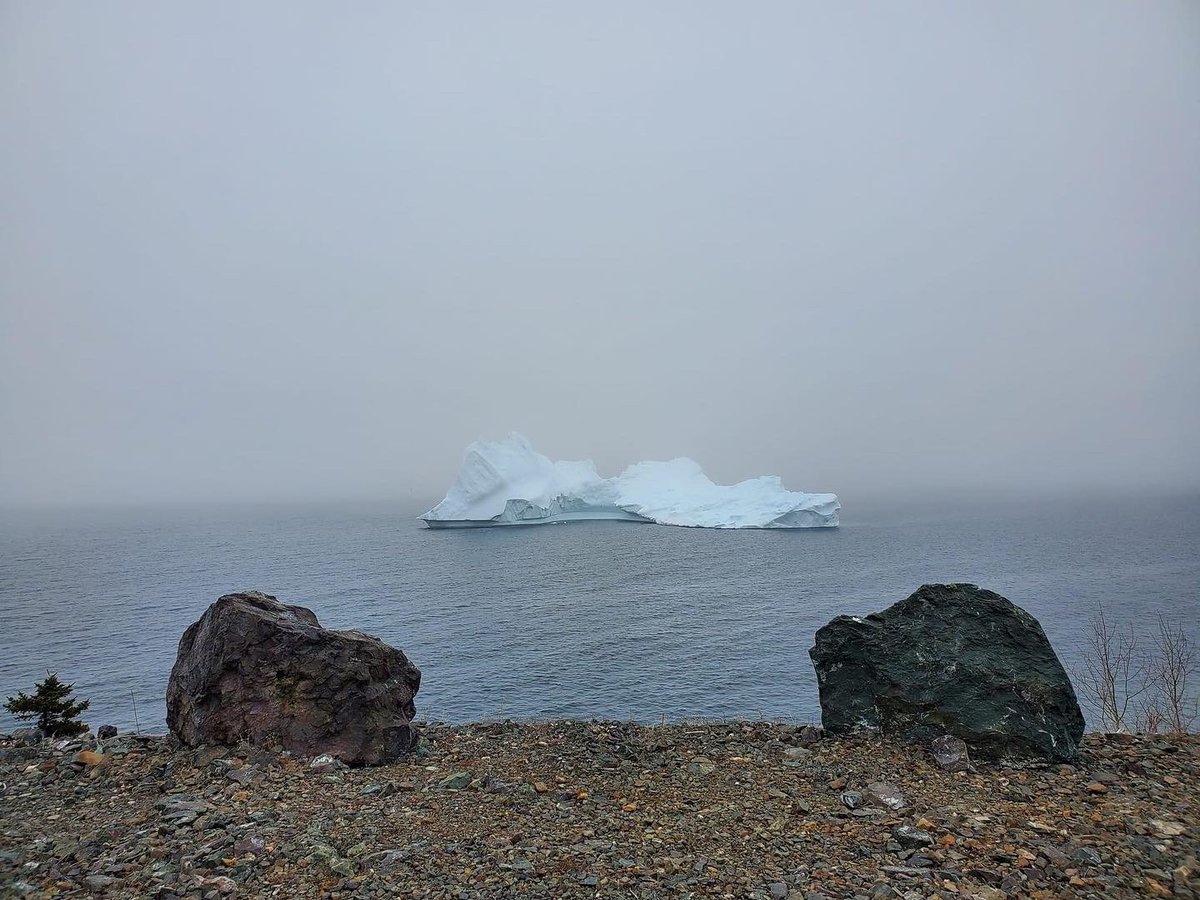 This morning in Triton! 📸: Tia Rowsell

#IcebergsNL #ExploreNL
