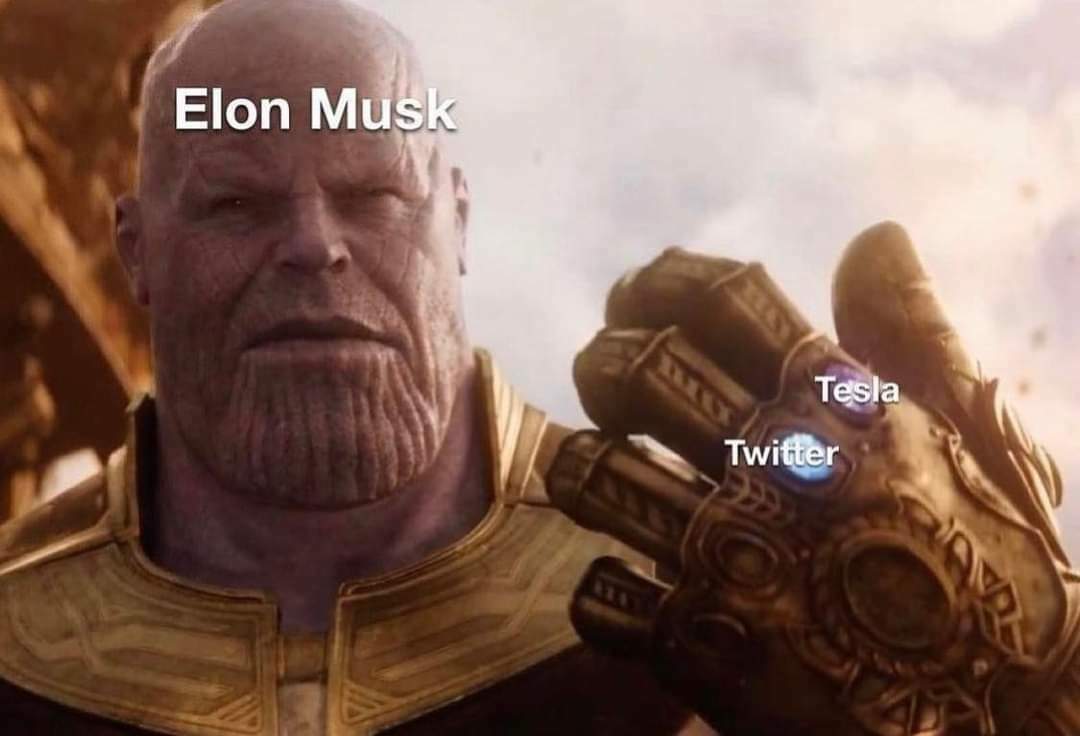 BunnyKatCosplay's tweet photo. I wanna know whats gonna happen when Elon snaps his fingers. 🤣  What's the next stone? https://t.co/G91jXg6fOp