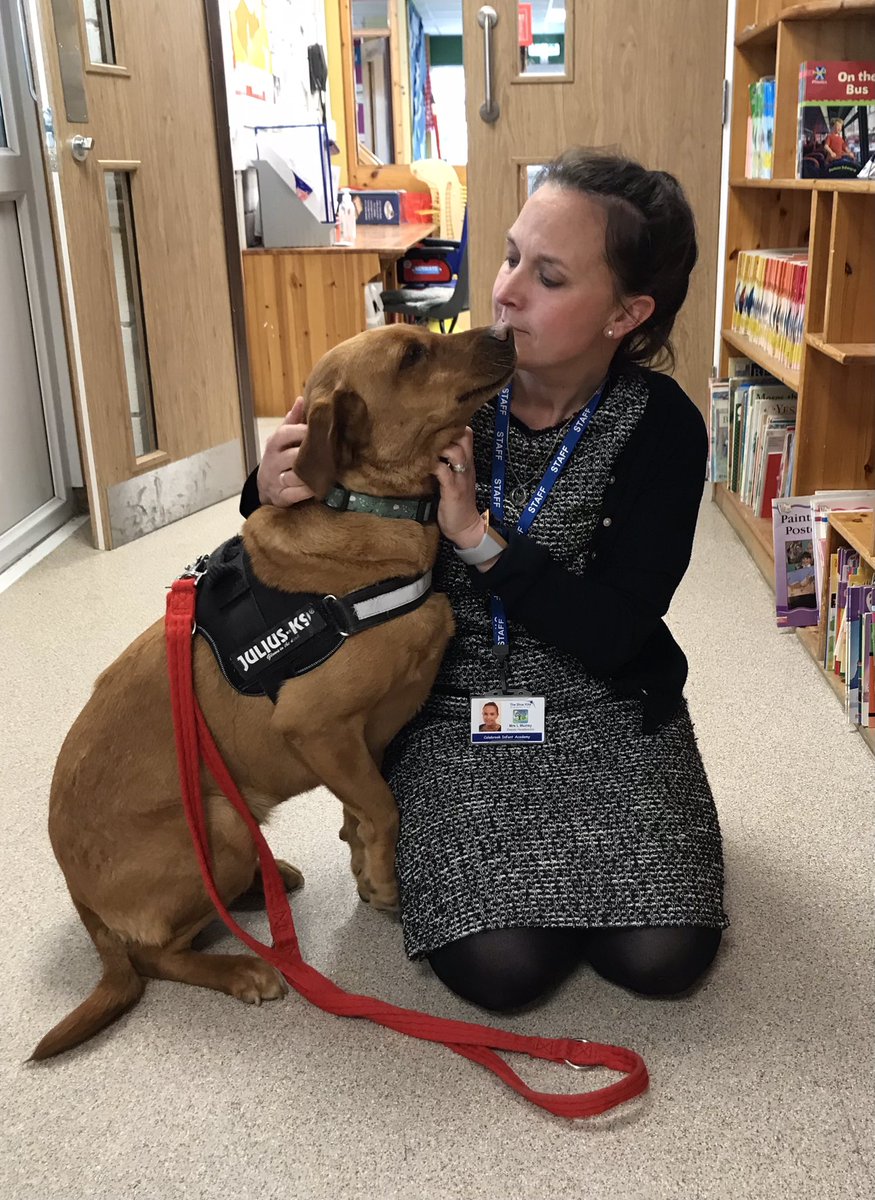 Colebrookinf's tweet photo. We couldn’t pass up the opportunity of a ’First Day at School’ photo and to record the start of some
beautiful friendships!
Mavis was an absolute ⭐️ today and we were so proud of the children too.
We are all looking forward to next Friday already 😃 #BKAT #Petsastherapy https://t.co/3lVTNB7zgw