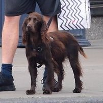 bobbyhiddles's tweet image. #NewProfilePic