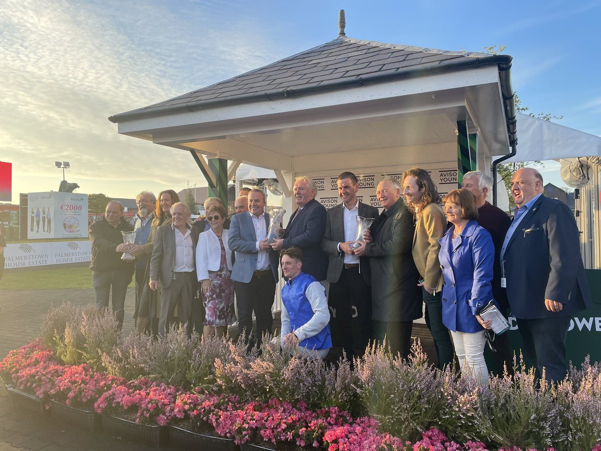Punchestown tweet media