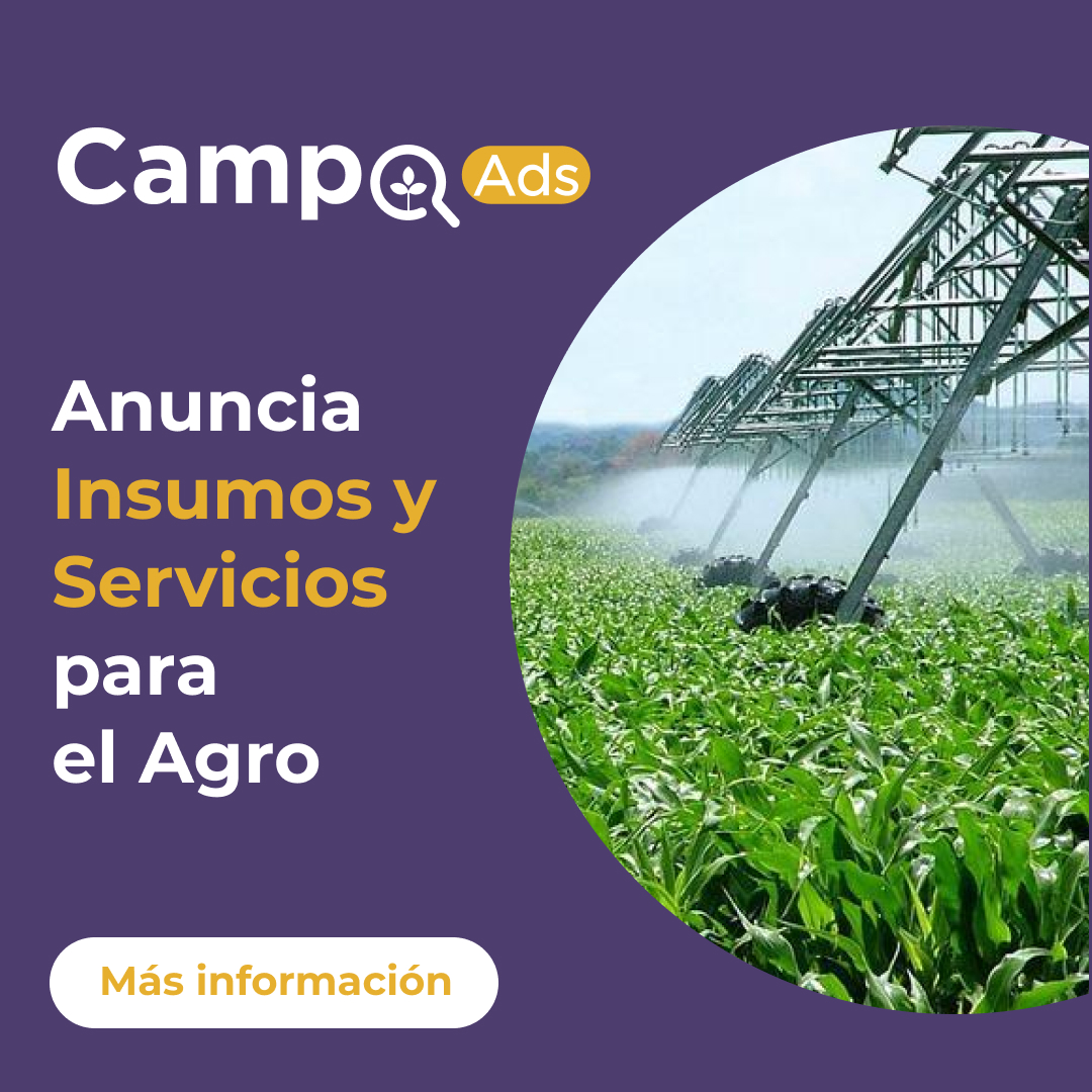 campoads's tweet image. 👨‍🌾CampoAds, es el servicio de publicidad digital que #GrupoSmattcom ha creado para que cualquier empresa o persona del Sector Agro ofrezca sus productos, maquinaria, insumos y servicios para nuestros más de 70 mil usuarios.

Conoce más👇
smattcom.com/campoads?utm_s…