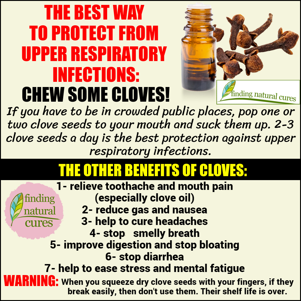 cures_finding's tweet photo. THE BEST WAY TO PROTECT FROM UPPER RESPIRATORY INFECTIONS:
CHEW SOME CLOVES! #findingnaturalcures https://t.co/bhVVqQnry5