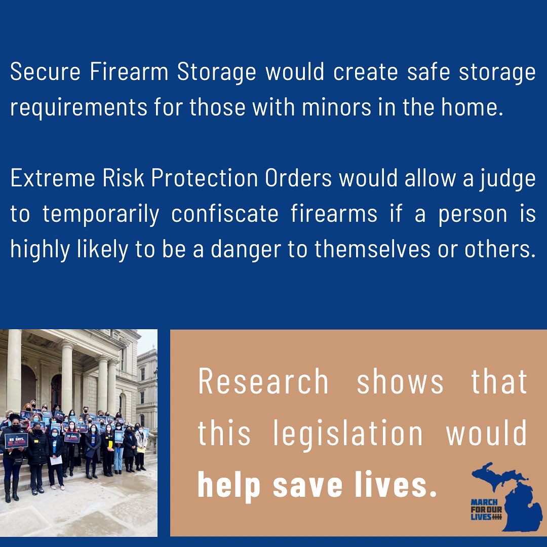 VICTORY! The Michigan Senate will have a combined hearing on Secure Firearm Storage and Extreme Risk Protection Orders.