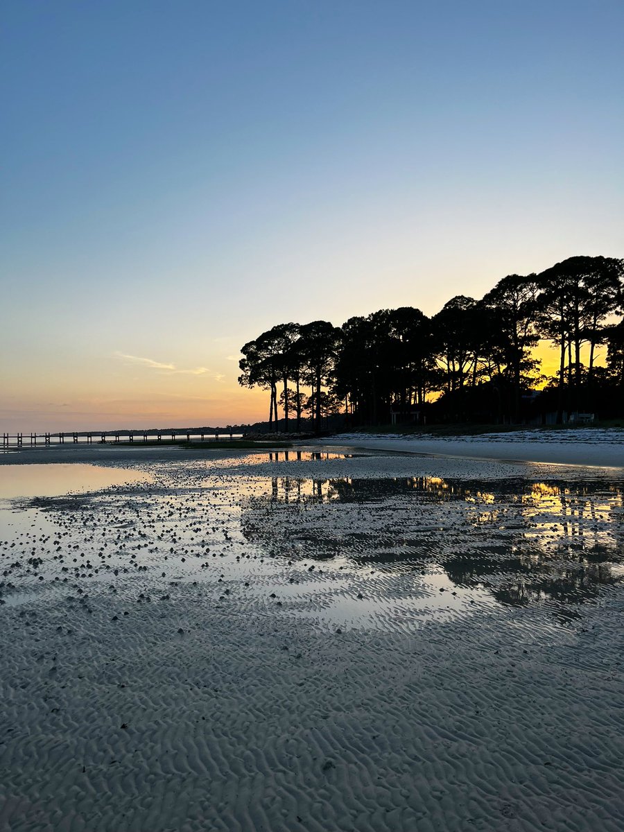 “Never underestimate the big importance of small things.” #Florida <a href="/ssaxnercoughlin/">Sara Saxner-Coughlin</a>