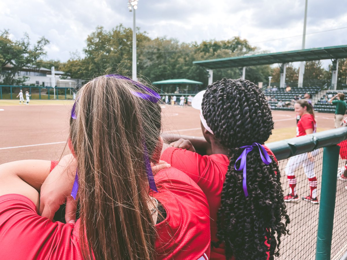 Houston Softball tweet media