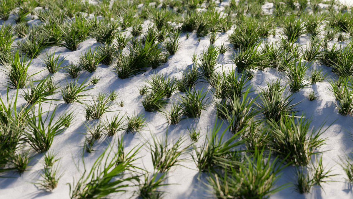 Herman Combrink tweet media