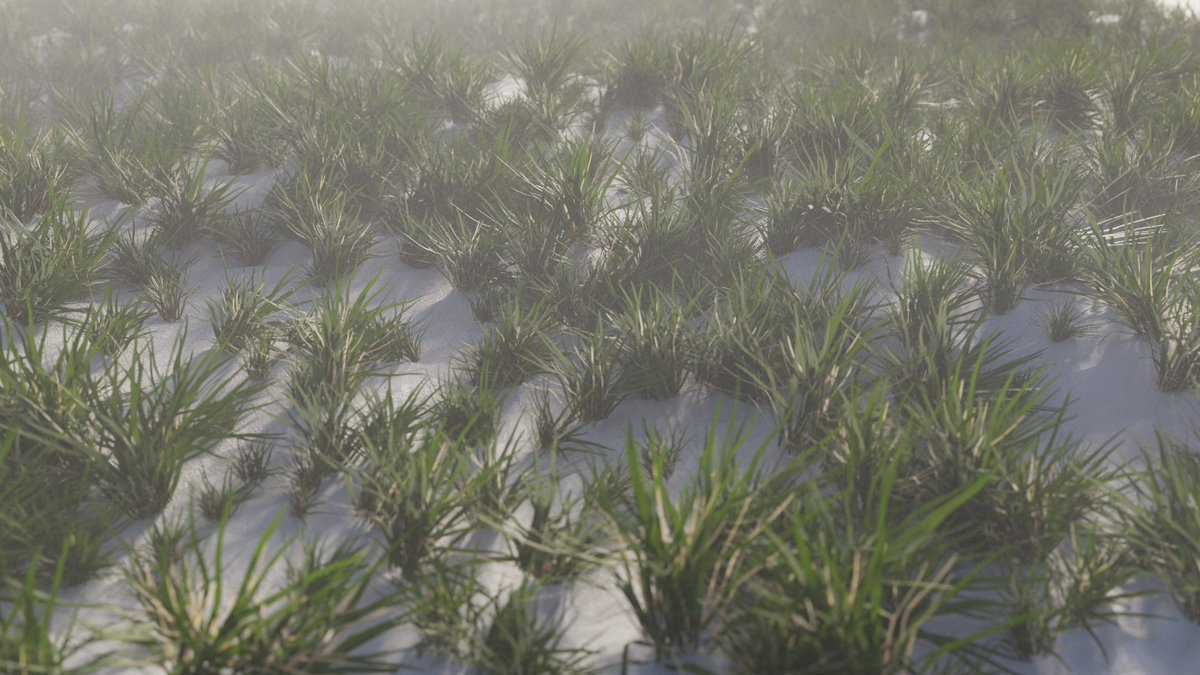 Herman Combrink tweet media