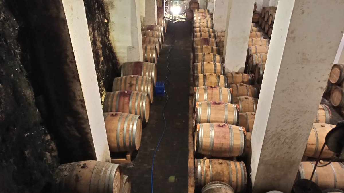 JorgePay1's tweet photo. Huí he tingut el plaer de visitar el celler #GutiérrezdelaVega a #Parcent #LaMarina
Hem aprés molt amb les explicacions de Felipe i hem gaudit catant bons vinets.
Una visita muy recomendable a quienes se acerquen por la #ValldePop @turismovalldpop
Bodega familiar y tradicional. https://t.co/Gj0QPbzMOk
