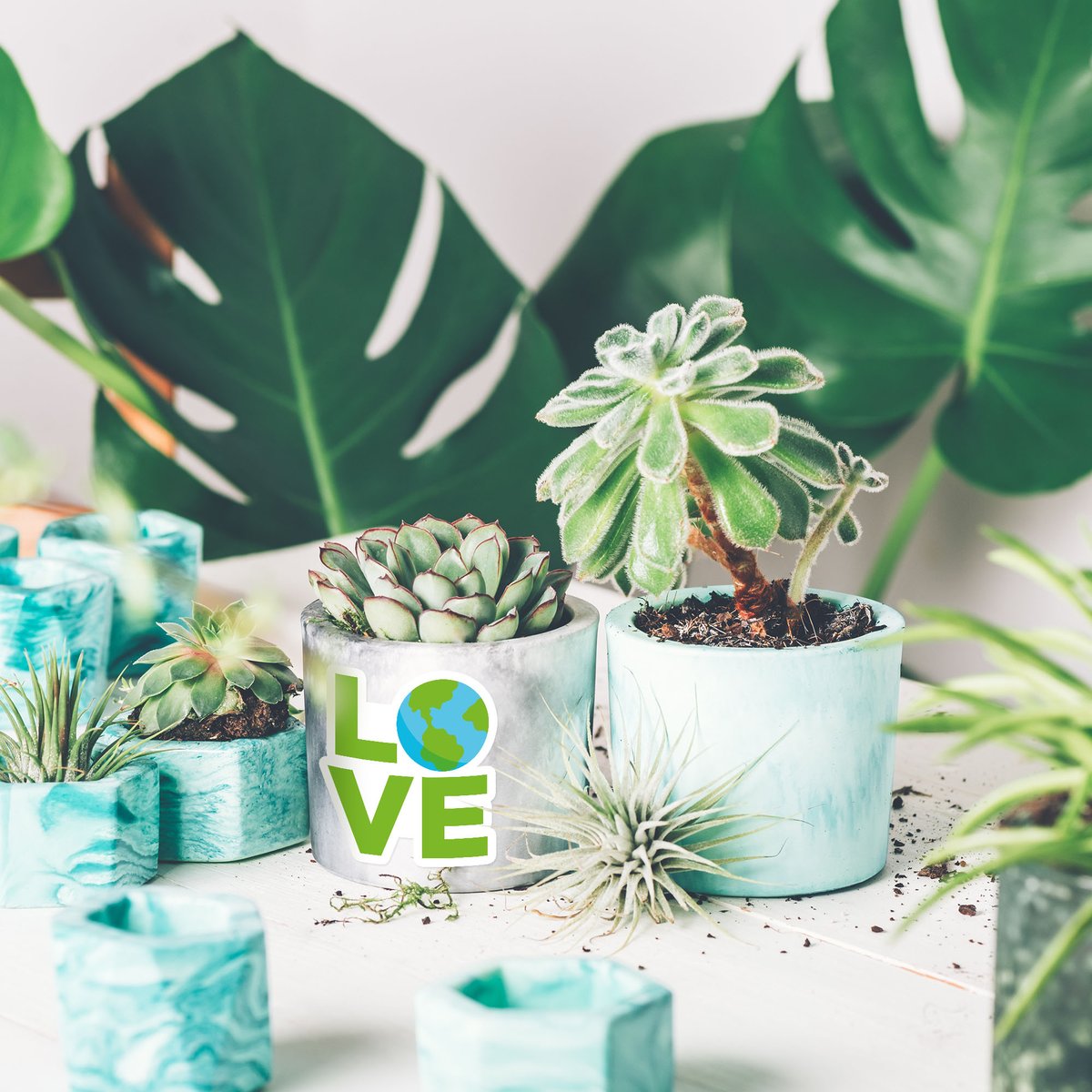 StickerBashCo's tweet image. Earth Day, everyday ✅ Visit us at stickerbash.etsy.com for more predesigned stickers and fridge magnets 💚
.
.
.
#earthday #earthdayeveryday #earthday🌎 #happyearthday #worldearthday #earthdayiseveryday #earthdayactivities #earthday2022 #earthdaycelebration #earthdaystickers