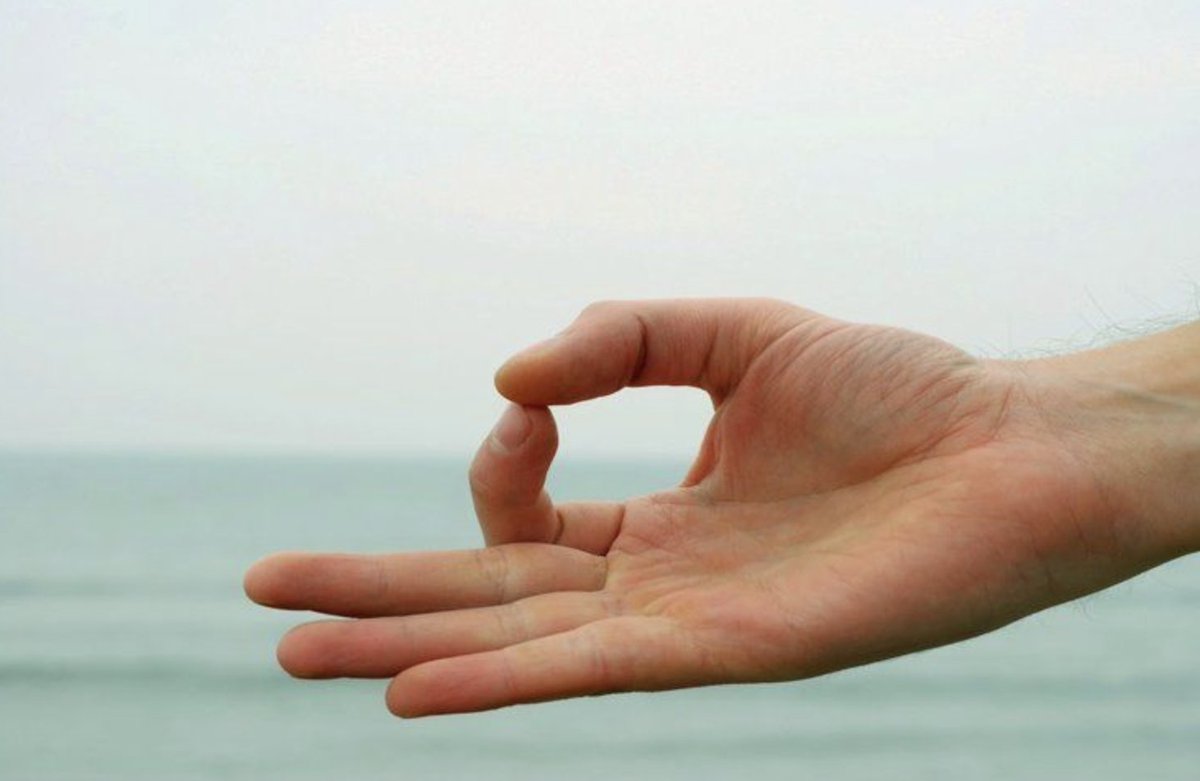 elbanqueteweb's tweet photo. "Lo que hay que entender cuando queremos empezar a meditar, es que no importa si en nuestra mente hay un huracán o un lago en calma. Todos podemos hacerlo. Solo siéntate con la espalda recta y concéntrate en tu respiración". https://t.co/e6uCdXpsOe https://t.co/484e204zkc