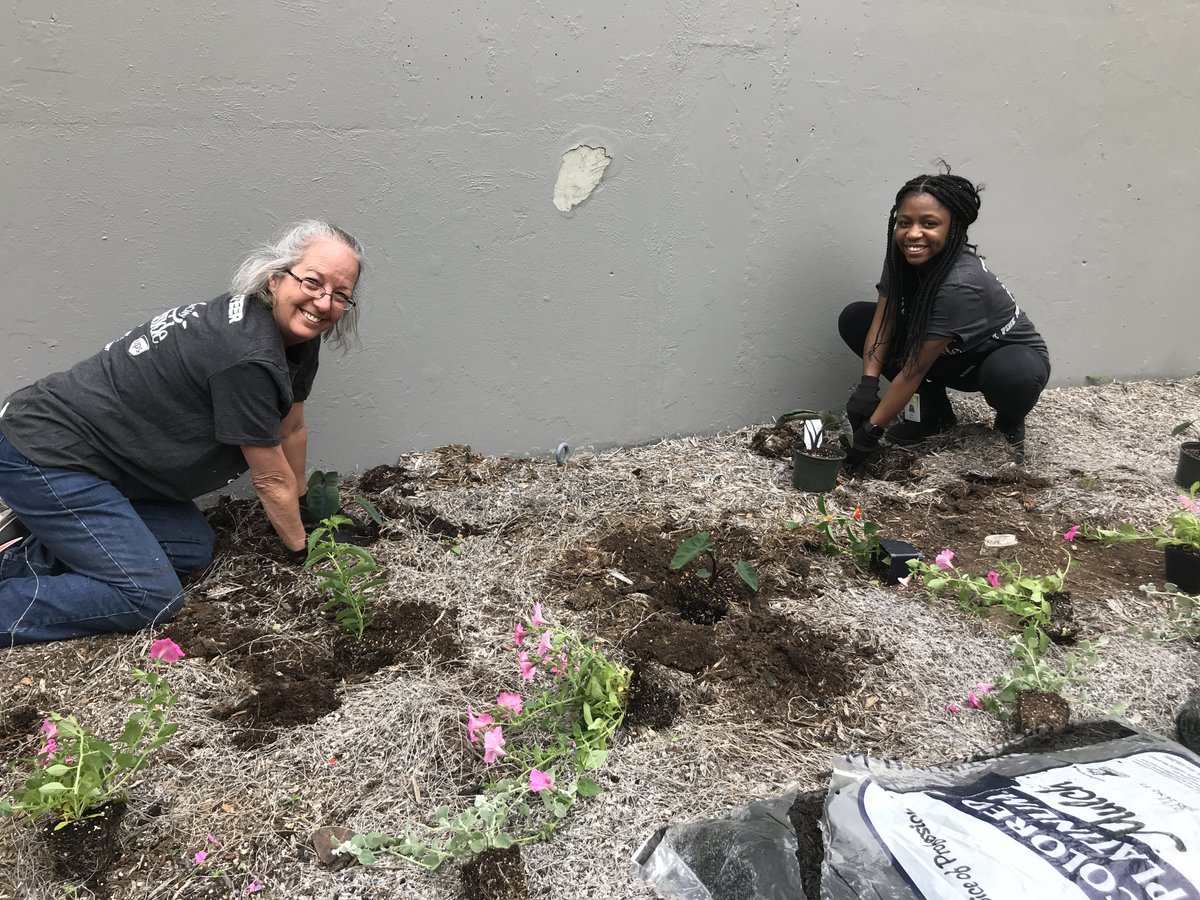 LouKyCourtClerk's tweet photo. Big shout-out to the #JCOCCC #TEAM members who volunteered for our 2022 annual #GiveADay landscaping project & planted annuals/perennials & spread mulch at Jefferson Square Park & around the courthouse complex. @GiveADayLou @kentuckycourts @KACo @Brightside_ https://t.co/2fJJ5V2ckB