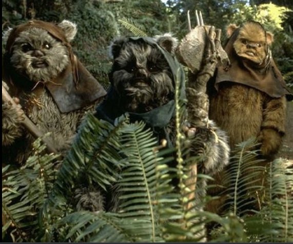Fun Fact for today: the Ewok language is a combination of Tibetan and Nepalese. 😮 #starwars #ewoks #yubnub