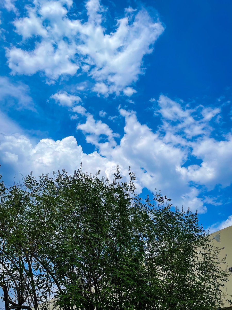 ..

اللهُم عفوك ورضاك والجنة..💙

..