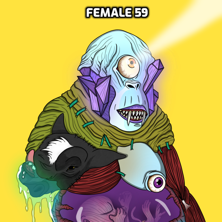 algorangutans.algo tweet media