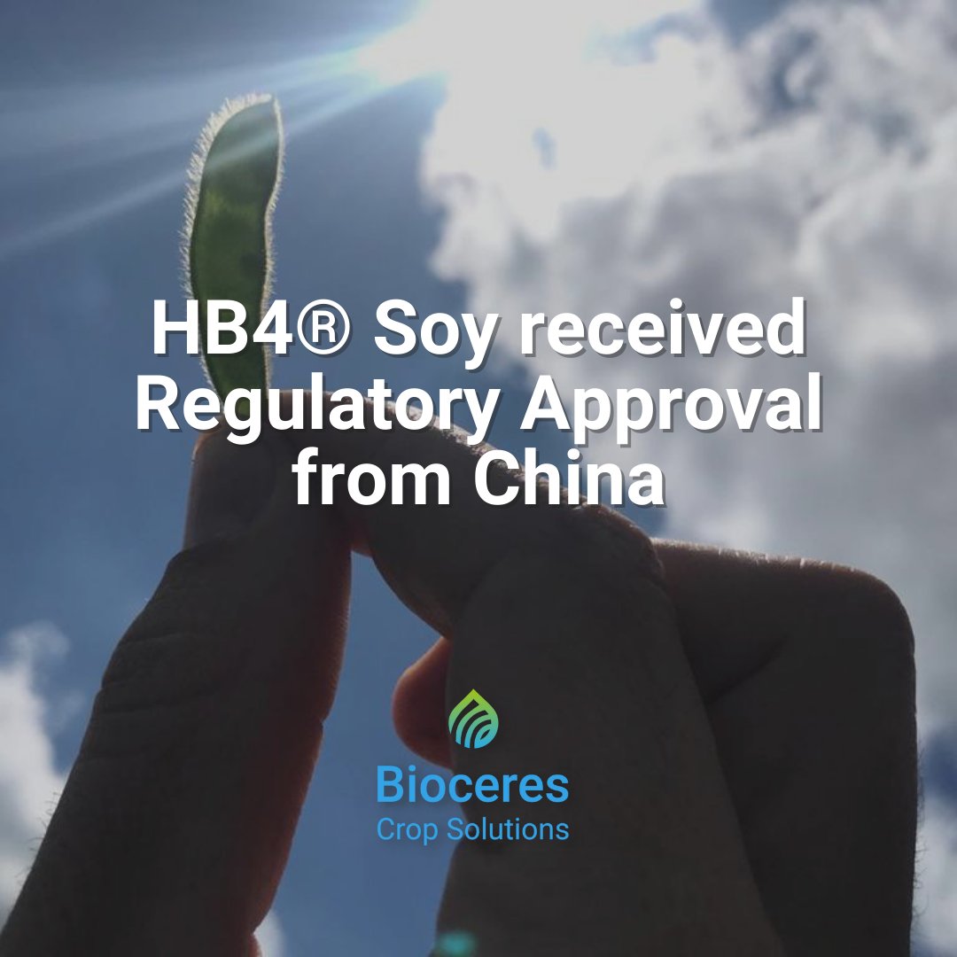 Bioceres Crop Solutions tweet media