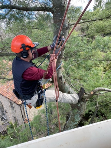 RPMarzilli's tweet photo. Happy #ArborDay from our amazing, passionate, dedicated tree team! https://t.co/pYfScraHel