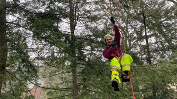 Happy #ArborDay from our amazing, passionate, dedicated tree team!