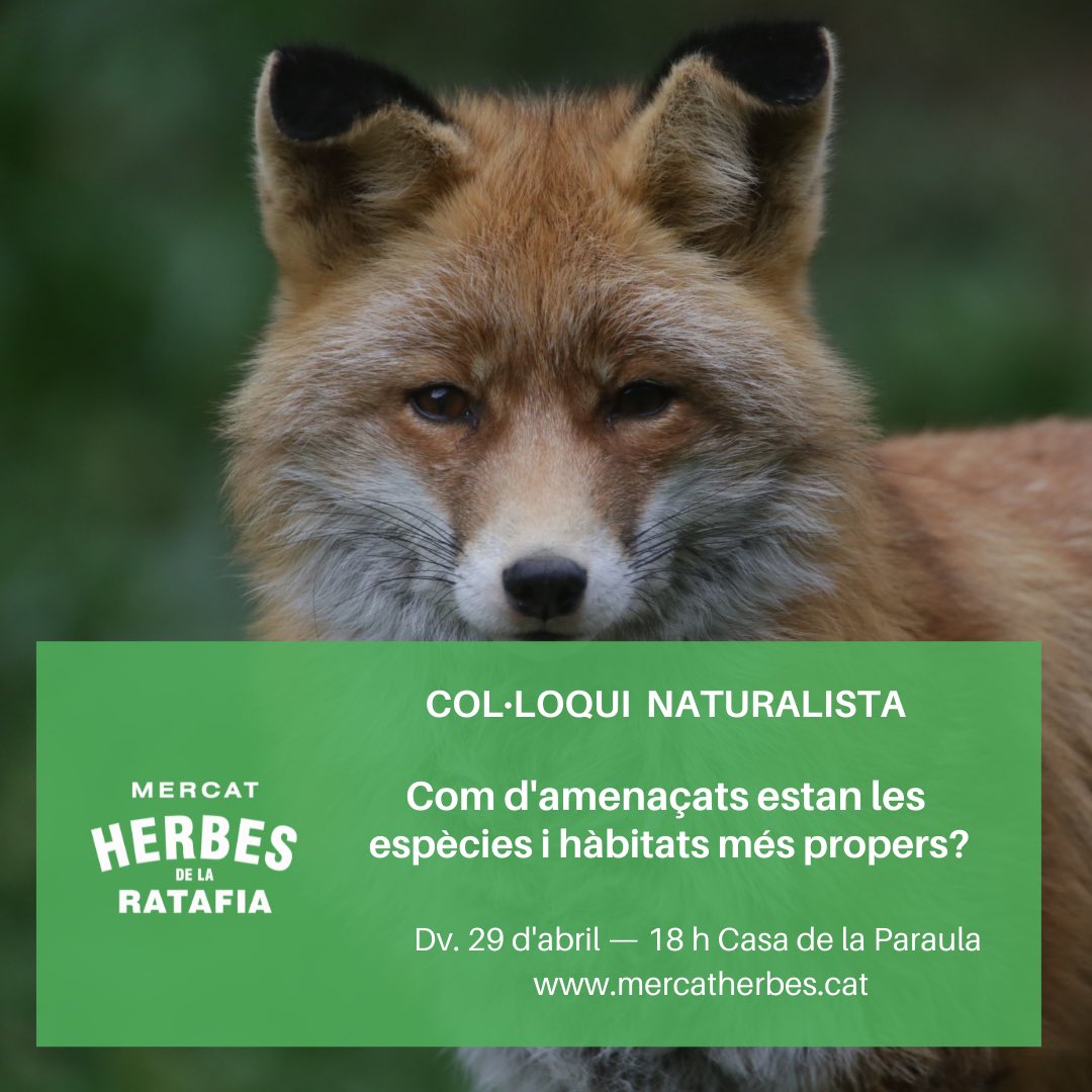 NoalaMatSelva's tweet photo. Avui hem participat al col·loqui que obria el Mercat de les Herbes de Sta Coloma juntament amb companys de @NoVariantc63 , @NoalaPedrera , Riera Viva i els ponents:Santi Ramos, @alfonsdg Delgado, Ona Font @fundacioemys Elisabet Del Valle i @adria_compte 

Quin goig de territori! https://t.co/LwrzAdmfeg