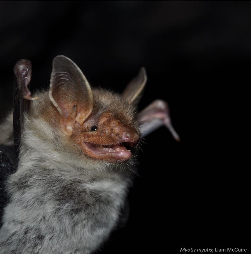 Abstract deadline extended to May 8th! We’re thrilled to have hundreds of attendees registered from over 30 countries so far. But we know this is a hectic time of year, so we are extending the abstract submission deadline by one week.
We hope this extra time relieves some stress!