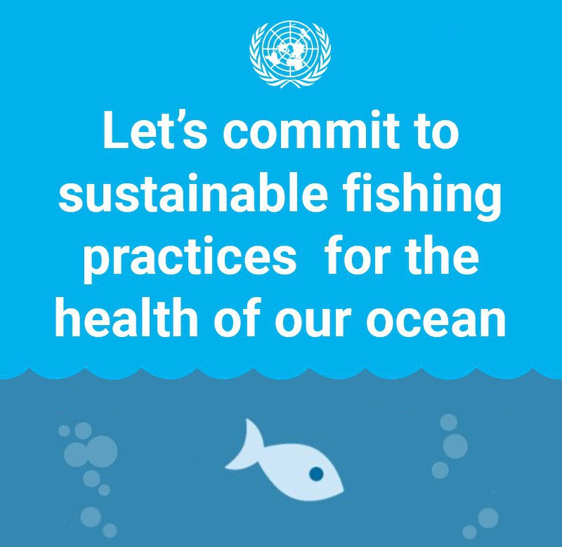 The overwhelming demand for tuna poses a threat to fish stocks &amp; their surrounding ecosystems.

On Monday's #WorldTunaDay, see how your choice of seafood can impact efforts to achieve a sustainable future. bit.ly/2pxWZJx #GlobalGoals