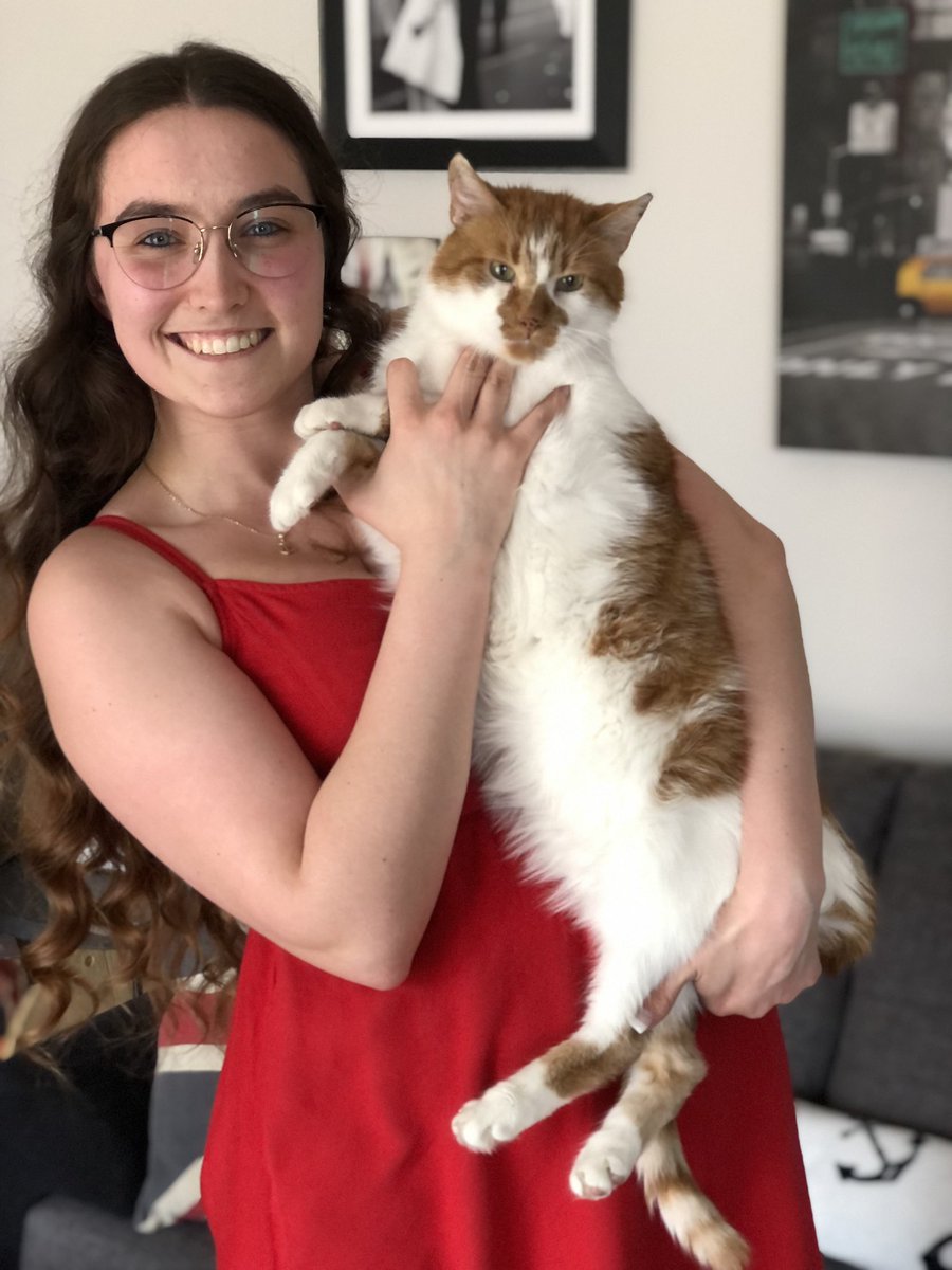 PinkyaTwitch's tweet photo. Potichat et potitepinky. 🎉❤️🐈 #cat #celebration #familydinner #flashthecat #madcat https://t.co/bfADrgtlb9