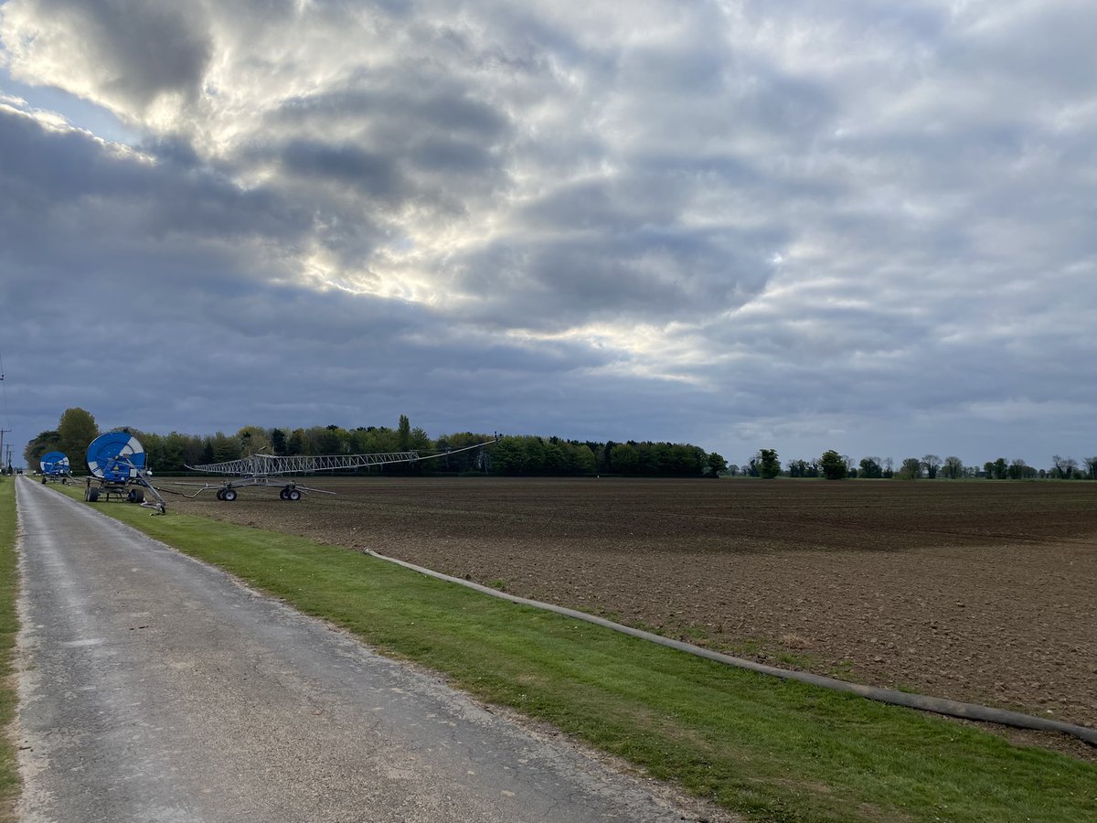 dgwhoyles's tweet photo. Cold, cloudy, but a bit of moisture being added ๐คจ. #farmdrive #mustard https://t.co/gIeqaXc0LK